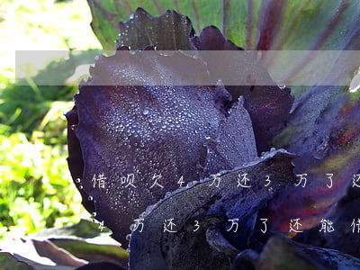 借呗欠4万还3万了还能借出来吗-借呗欠4万还3万了还能借出来吗知乎
