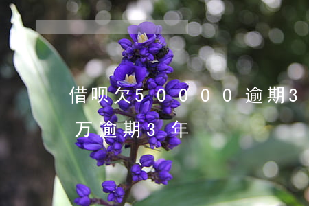 借呗欠50000逾期3年还没-借呗欠5万逾期3年