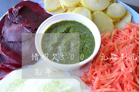 借呗欠5000元能判几年(借呗欠钱不还判几年)