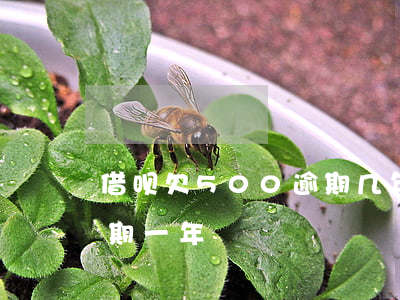 借呗欠500逾期几年消失(借呗欠款5万逾期一年)