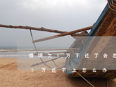 借呗欠5万不还了会怎么样(支付宝借呗借了5万还不上怎么办)