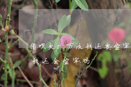 借呗欠5万没钱还要坐牢坐多久(借呗逾期没钱还会坐牢吗)