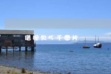 借呗欠5千图片