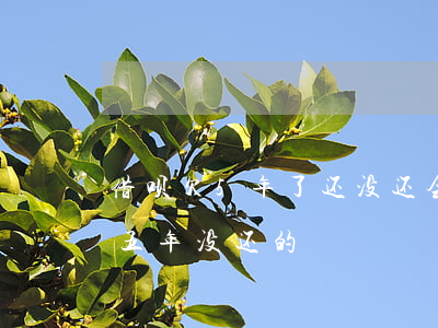 借呗欠5年了还没还会怎么样(有没有欠借呗五年没还的)