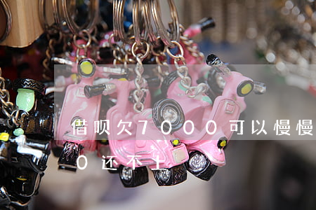 借呗欠7000可以慢慢还吗(借呗欠6000还不上)