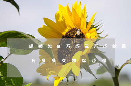 借呗欠8万还三万还能再借出来吗(借呗欠四万多多久可以还清)