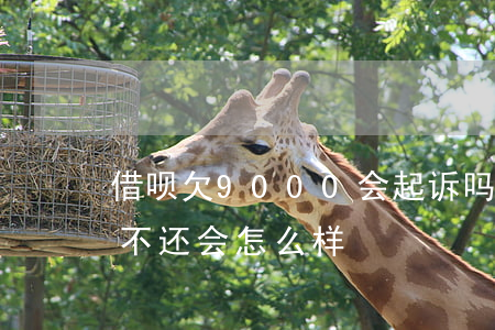 借呗欠9000会起诉吗(借呗欠12000不还会怎么样)