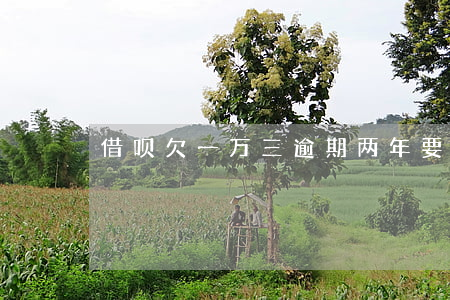 借呗欠一万三逾期两年要还多少-