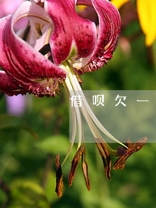 借呗欠一万多三年了(借呗逾期3年)