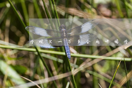 借呗欠一万多会起诉吗(借呗欠1万会起诉吗)