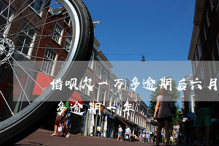 借呗欠一万多逾期后六月还(支付宝借呗一万多逾期一年)
