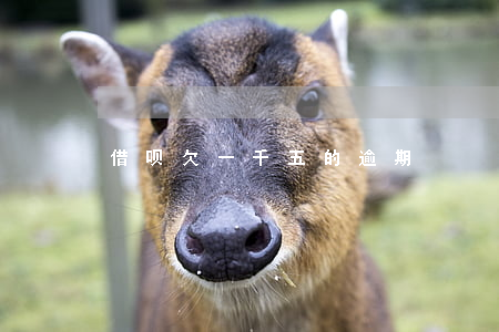 借呗欠一千五的逾期