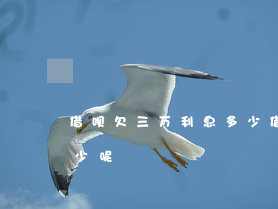 借呗欠三万利息多少(借呗借了三万多利息多少呢)