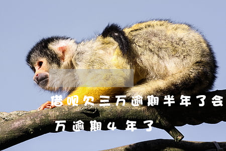 借呗欠三万逾期半年了会起诉吗(借呗欠了3万逾期4年了)