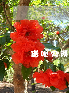 借呗欠两万一年还完(借呗两万多两年没还)