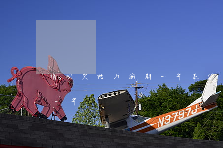 借呗欠两万逾期一年在还可以(借呗2万逾期一年)