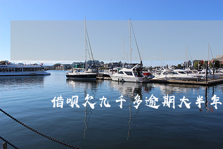 借呗欠九千多逾期大半年(借呗欠一万多逾期)