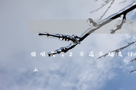 借呗欠了2万还不起(支付宝借呗欠2万还不上)