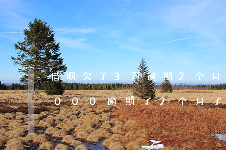 借呗欠了3万逾期2个月了怎么还(借呗欠3000,逾期了2个月了会怎么样)