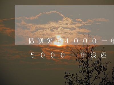 借呗欠了4000一年没还(支付宝借呗借了5000一年没还)