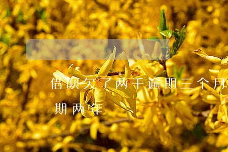 借呗欠了两千逾期三个月(借呗3000多逾期两年)