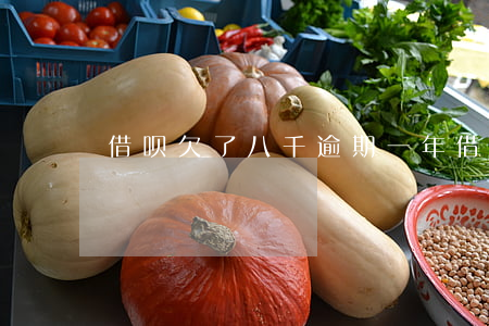 借呗欠了八千逾期一年(借呗欠七千多逾期)