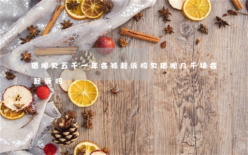 借呗欠五千一年会被起诉吗(欠借呗几千块会起诉吗)