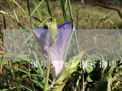 借呗欠六万图片(借呗欠两万图片)