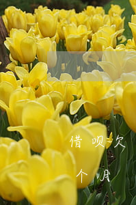 借呗欠六千逾期三个月(借呗欠款7万逾期3个月)