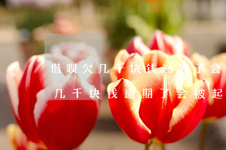 借呗欠几千块钱逾期了会被起诉吗-借呗欠几千块钱逾期了会被起诉吗知乎