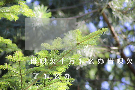 借呗欠十万怎么办(借呗欠款十几万块钱还不了怎么办)