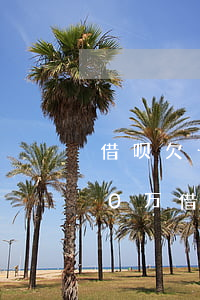 借呗欠十万无能力偿还怎么办(支付宝借了10万借呗,现在无力偿,该怎么办?)