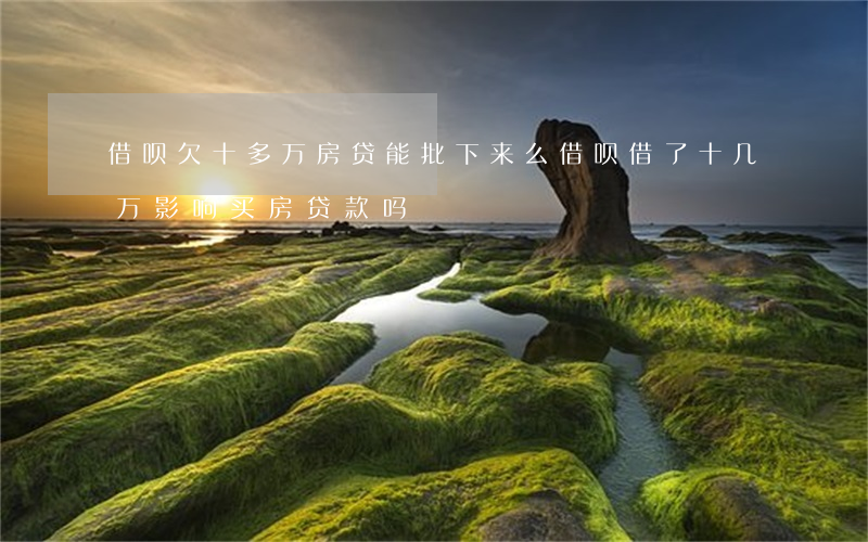 借呗欠十多万房贷能批下来么(借呗借了十几万影响买房贷款吗)