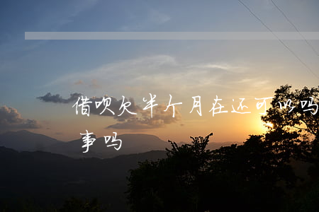 借呗欠半个月在还可以吗(借呗半个月不还有事吗)