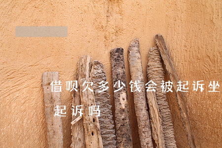 借呗欠多少钱会被起诉坐牢(欠借呗几千块会起诉吗)