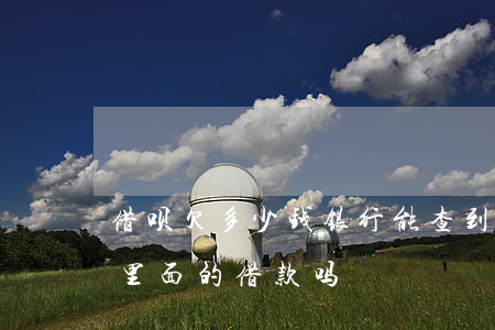 借呗欠多少钱银行能查到吗(银行能查到借呗里面的借款吗)