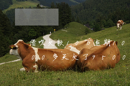 借呗欠款10万逾期100多天(借呗逾期100多天欠了9500会被起诉吗)