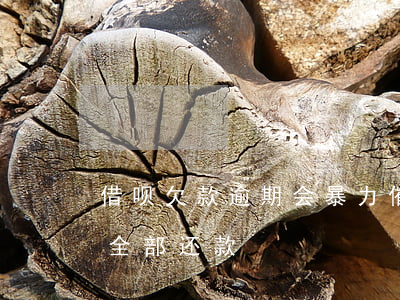 借呗欠款逾期会暴力催款吗(借呗逾期催收要全部还款)