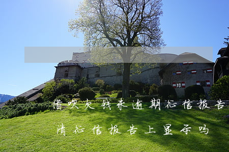 借呗欠钱未逾期征信报告(借呗未逾期也未还清,征信报告上显示吗)