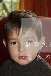 借呗欠钱没有逾期能办房贷吗(借呗没有逾期怎么不能借款了)
