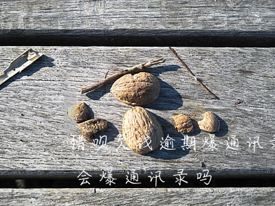 借呗欠钱逾期爆通讯录怎么办(蚂蚁借呗逾期会爆通讯录吗)