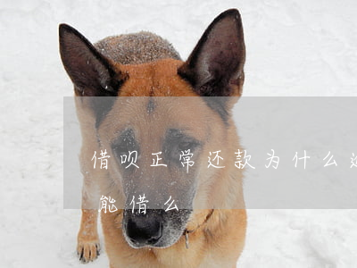 借呗正常还款为什么逾期(借呗逾期还款后还能借么)