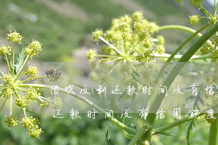 借呗没到还款时间没有信用额度-借呗没到还款时间没有信用额度怎么办