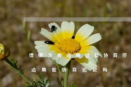 借呗没有逾期过能协商停息挂账吗-借呗没逾期能协商还款吗