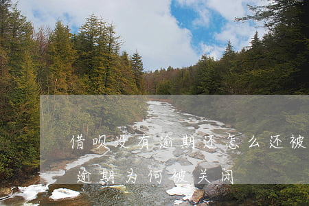 借呗没有逾期还怎么还被关闭了-借呗没有逾期为何被关闭