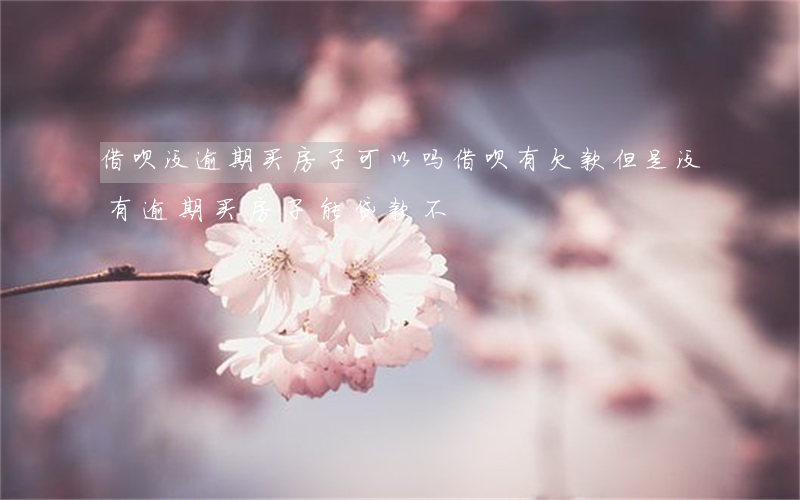 借呗没逾期买房子可以吗(借呗有欠款但是没有逾期买房子能贷款不)