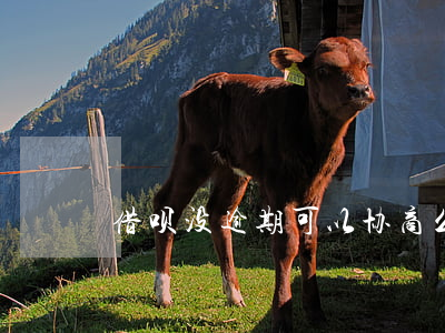 借呗没逾期可以协商么（借呗没逾期协商还款）