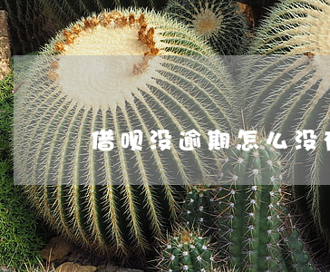 借呗没逾期怎么没有了