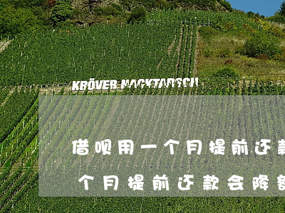借呗用一个月提前还款会降额吗-借呗用一个月提前还款会降额吗