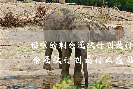 借呗的剩余还款计划是什么意思-借呗的剩余还款计划是什么意思啊
